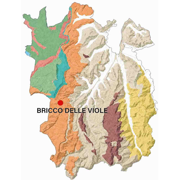 Geologische kaart van de Barolo MGA Bricco delle Viole.