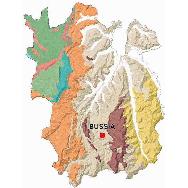 Geologische kaart van de Barolo MGA Bussia.
